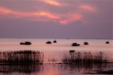 ����ʪ��