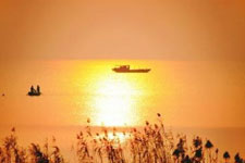 �������ٳ�����