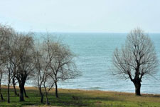 ��������ʪ����