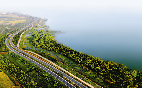 �����������ι۹���