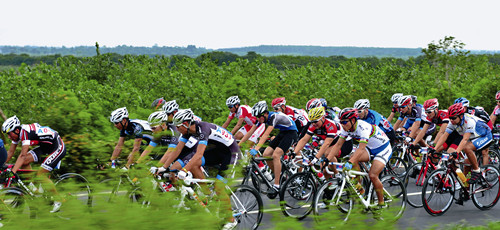 �����������г���