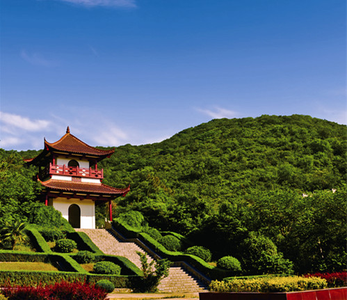 ������΢��