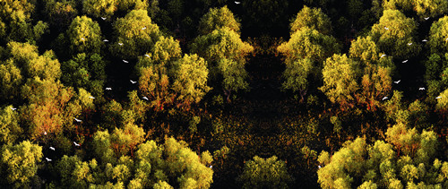 ������̬ʪ��