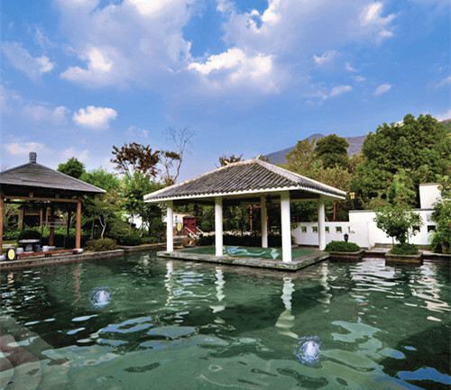 ����������Ȫ