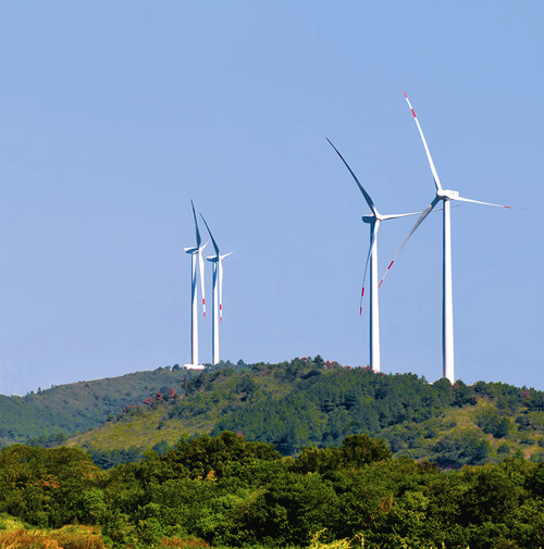 �����������糡