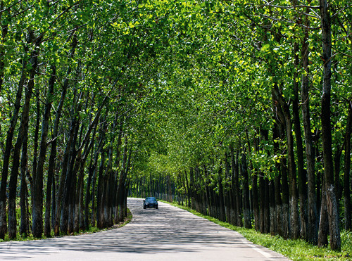 ���������̵�