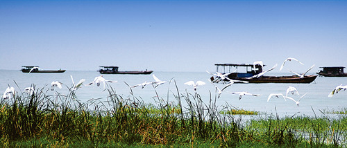 ������̬ʪ��