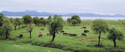 ������̬ʪ��