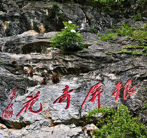 ��������ĵ��