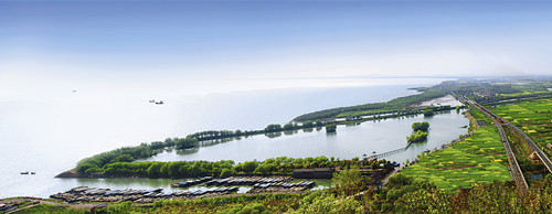 ����������ʪ��